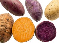 Colorful sweet potato varieties isolated on white background showing orange and purple flesh cross-sections for healthy cooking and nutrition concepts.