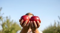 Female hands holding three ripe red apples outdoors against blue sky and blurred green foliage, suitable for organic produce, healthy eating, and agriculture marketing materials.