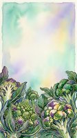 Watercolor illustration of fresh cauliflower and broccoli vegetables with green foliage on soft pastel gradient background, suitable for culinary, organic, and healthy food design projects.