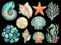 Isolated collection of colorful sea life elements including nautilus shell, starfish, seahorse, seashells, coral, and sea glass on transparent background. Ready for t-shirt design, clipart, stickers, sublimation, and print-on-demand projects.