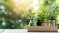 Fresh herbs growing in glass jars and metal pots on wooden tray against blurred green garden background with sunlight. Natural home gardening concept.