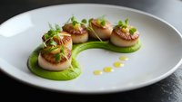 Pan-seared scallops with green pea puree and microgreens on white plate. Gourmet seafood dish for fine dining restaurant menu and culinary presentation.