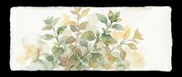 Watercolor botanical greenery bouquet with soft green and golden leaves, isolated on transparent background. Great for stickers, sublimation, t-shirt design, and print on demand.