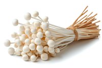 Fresh white enoki mushrooms bunch tied with natural twine on white background, raw organic Japanese fungi isolated for culinary design and food photography.
