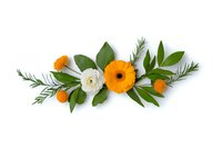 Floral arrangement with orange gerbera daisy, white ranunculus, craspedia balls and green leaves on white background. Suitable for wedding design elements.