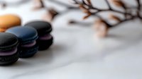 Dark spa stones arranged with blurred branches creating peaceful zen atmosphere for wellness and relaxation treatments on neutral background.