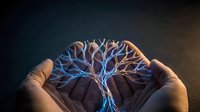 Hands holding glowing neural network tree with blue and orange light branches, representing artificial intelligence, technology innovation, and digital transformation concepts.