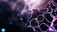 Purple and blue glowing neural network connections on dark background with light particles, showing synaptic activity and brain cell communication patterns.
