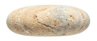 Artisan whole grain bread loaf with seeds and rustic crust isolated on white background for bakery and food design projects.