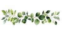 Watercolor eucalyptus branch border with green leaves and stems isolated on white background for wedding invitations and botanical designs.