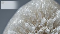 Close-up macro shot of white translucent crystal formation with geometric prismatic structure and natural mineral texture against soft gray background.