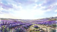 Lavender field landscape with rolling hills, purple flowering plants, and scenic countryside vista for travel, nature, and agricultural design projects.
