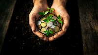 Hands cupping coins with a green sprout growing from soil, symbolizing financial growth, investment, and sustainable wealth development.