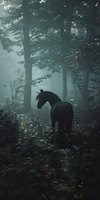 Black horse standing in misty forest surrounded by tall trees and green vegetation. Moody atmospheric woodland scene with fog and natural lighting for editorial and creative projects.