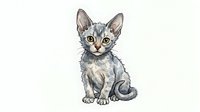 Young tabby kitten with gray and cream striped coat, alert expression, and blue-green eyes sitting on isolated white background, ready for design projects.
