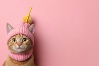 Ginger cat wearing pink knitted winter hat with pom-pom looking up against pink background. Copy space for text or design elements.