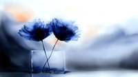 Ethereal blue flowers in glass vase against misty background, crossed stems creating artistic composition. Dreamy floral arrangement with soft focus and moody atmosphere.