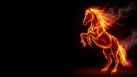 Fiery horse silhouette with flames and smoke effects on black background for fantasy designs and creative projects.