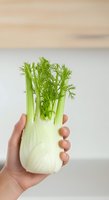 Fresh fennel bulb with green fronds held in hand against neutral background. Suitable for organic produce, healthy eating, cooking, nutrition, and food styling projects.