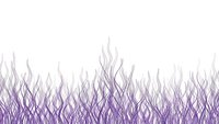Abstract purple flame pattern with flowing organic lines creating decorative border on white background for graphic design projects.
