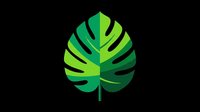 Tropical monstera leaf in vibrant green tones, isolated on transparent background, ready for t-shirt design, stickers, clipart, print on demand, and sublimation projects.