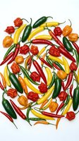 Colorful assorted hot chili peppers in red, yellow, green and orange varieties scattered on white background for culinary and cooking projects.