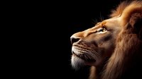 Majestic male lion profile against dark background, close-up portrait showing detailed mane and facial features in dramatic lighting, highlighting strength and nobility.