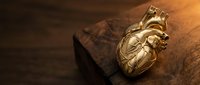 Golden anatomical heart sculpture on rustic wooden surface with warm dramatic lighting for medical education and artistic design projects.