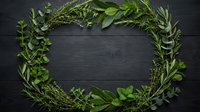 Fresh green herb wreath frame on dark wooden background with copy space for natural organic cooking and culinary design projects.