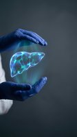 Medical professional in blue gloves protecting holographic liver organ model representing healthcare technology and hepatology treatment concepts.