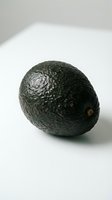 Whole dark green avocado with textured bumpy skin and stem isolated on white background, suitable for food and culinary design projects.