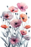 Delicate pink and coral anemone flowers with gray stems and leaves in watercolor style, arranged in vertical composition on white background. Suitable for wall art.