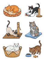 Ginger cat resting in bed, black and white cat playing with toys, siamese cat scratching post, gray tabby cat on mat, white cat in basket, brown tabby kitten eating from bowl with fish toy.