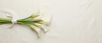 White calla lily flowers bouquet tied with ribbon on beige background with copy space for wedding invitations and greeting cards.