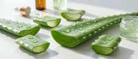 Sliced aloe vera plant with water droplets on white surface, displaying gel texture for skincare, cosmetics, and wellness product photography.