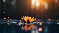 Golden water lily floating on dark pond surface at sunset with glowing bokeh lights and forest silhouette in background.