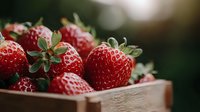 Fresh ripe strawberries with green leaves in rustic wooden box, macro shot with soft natural lighting and shallow depth of field, dark background.