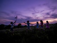 Group of children catching fireflies in meadow at twilight with purple sunset sky and glowing insects, suitable for nature, childhood, summer activities, and outdoor recreation concepts.