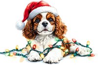 Cavalier King Charles Spaniel puppy wearing Santa hat with colorful Christmas lights wrapped around, lying down on white background, festive holiday pet portrait.