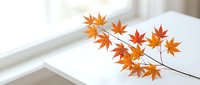 Autumn maple branch with vibrant orange and red leaves on white surface near window, seasonal home decor and natural fall foliage arrangement.