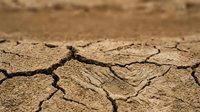 Cracked, parched earth with deep fissures showing severe drought conditions and soil erosion. Suitable for environmental, climate change, and sustainability projects.