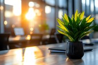 Green plant in black pot on wooden office desk with warm sunset light through windows creating cozy atmosphere. Modern workspace interior with bokeh effect.