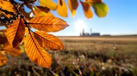 Orange autumn leaves backlit by sunlight against blurred rural landscape with distant farm buildings, creating warm seasonal atmosphere and depth of field effect.