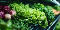 Fresh green lettuce leaves and red onions in grocery store produce section, close-up view showing crisp texture and vibrant natural colors.