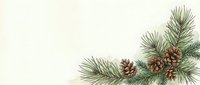 Festive winter border with evergreen pine branches and natural brown pinecones on cream background for holiday greeting cards and seasonal designs.