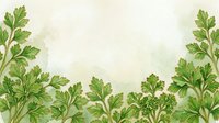 Parsley herb border with fresh green leaves on cream background, isolated design element for culinary, cooking, and organic food packaging projects.