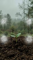 Young green plant seedling growing from rich soil with environmental sustainability icons representing eco-friendly growth and conservation concepts.