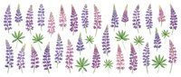 Watercolor lupine flowers and leaves pattern in purple, pink and green tones isolated on white background for botanical design projects.