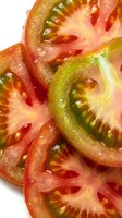 Fresh sliced tomatoes with vibrant red and green heirloom varieties showing seeds and juice, isolated on white background for food styling and culinary design projects.