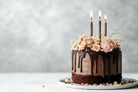Chocolate drip cake decorated with fresh flowers and lit birthday candles on gray background. Elegant celebration dessert with pink carnations and baby's breath.